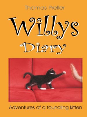 cover image of Willys Diary
